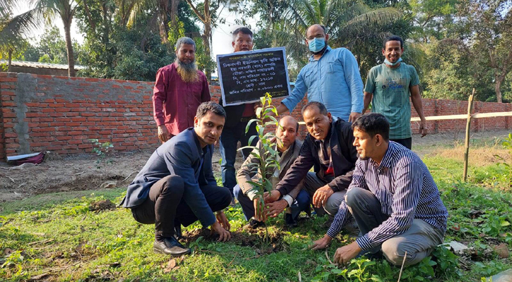 খাসজমি দখলমুক্ত করে বৃক্ষরোপণ